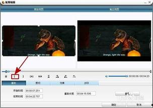 截取一段视频,一窥XX事件全貌