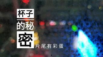 南京酒店爆料事件视频,揭露惊人内幕，真相令人震惊