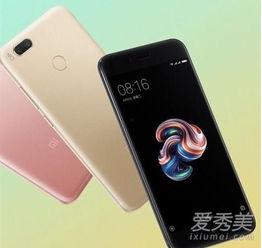 5x社会在线播放,揭秘网络直播的无限魅力