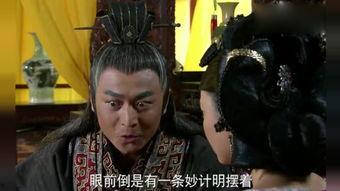 宫中奇情 在线播放,宫廷秘史在线播放，揭秘古代宫廷爱恨情仇